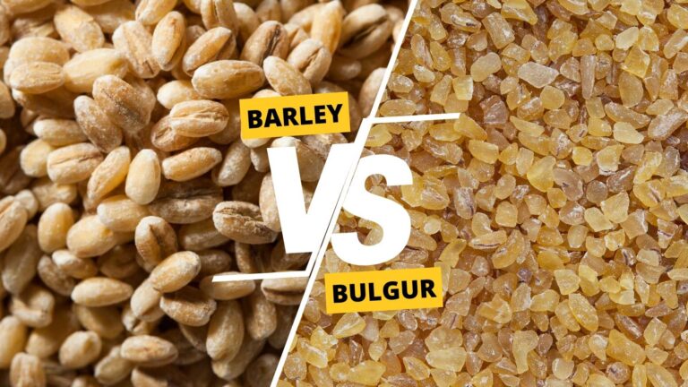 Barley vs Bulgur
