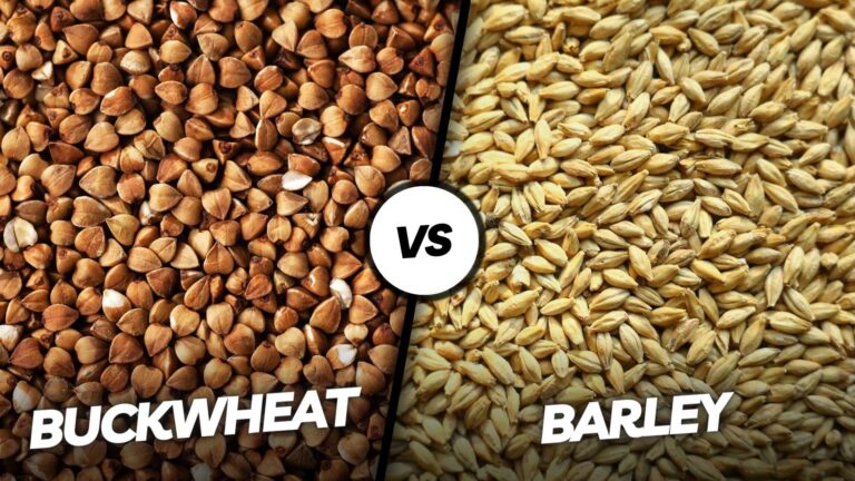 Buckwheat vs Barley