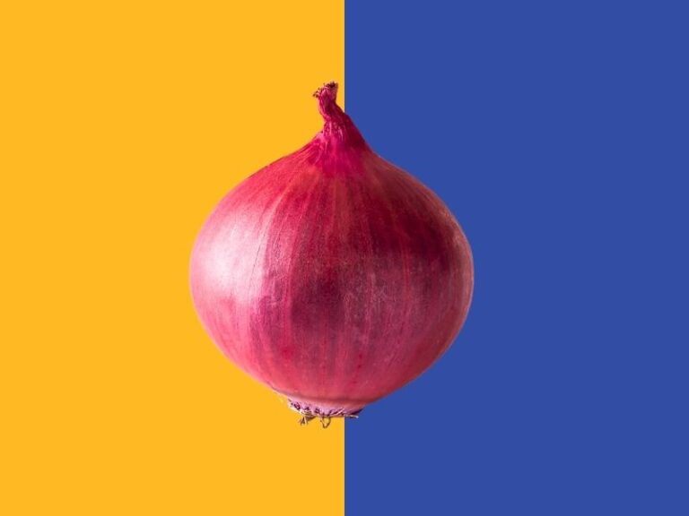 Can You Cook Red Onions