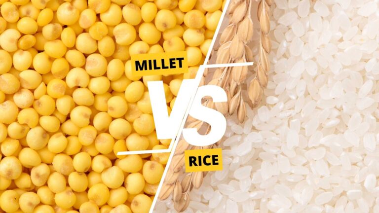 Millet vs Rice