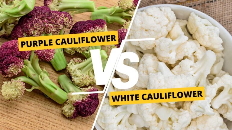 Purple vs White Cauliflower