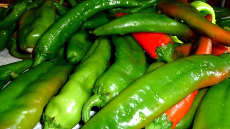 Substitutes for New Mexico Chiles