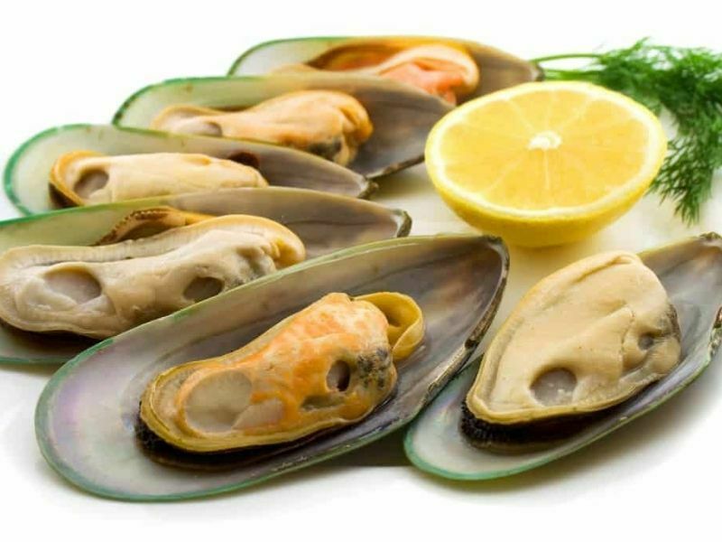 Which Mussel Is Better – Black or Green